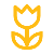 Decesos 6